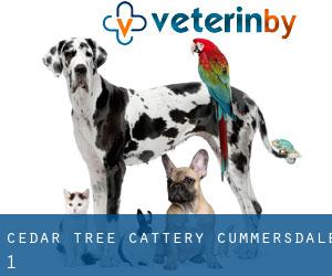 Cedar tree cattery (Cummersdale) #1