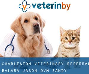 Charleston Veterinary Referral: Balara Jason DVM (Sandy)