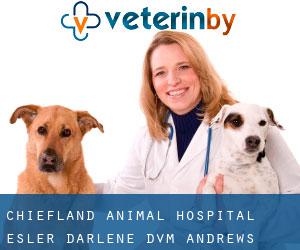 Chiefland Animal Hospital: Esler Darlene DVM (Andrews)