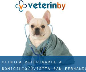 Clinica Veterinaria a domicilio.20€/visita (San Fernando)