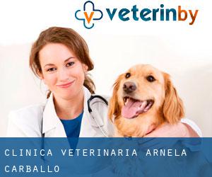 Clínica Veterinaria Arnela (Carballo)
