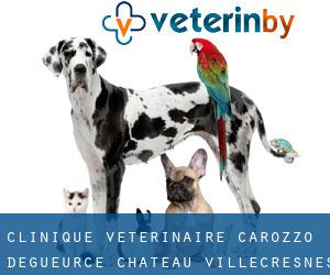 Clinique vétérinaire CAROZZO, DEGUEURCE, CHATEAU (Villecresnes)