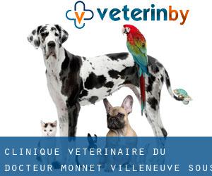 Clinique Vétérinaire du Docteur Monnet (Villeneuve-sous-Pymont)