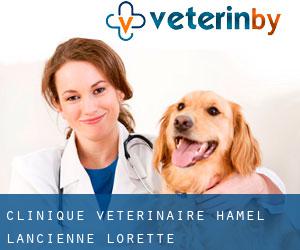 Clinique Vétérinaire Hamel (L'Ancienne-Lorette)