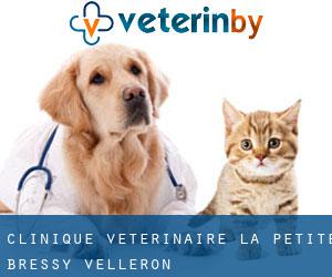 Clinique vétérinaire La Petite Bressy (Velleron)