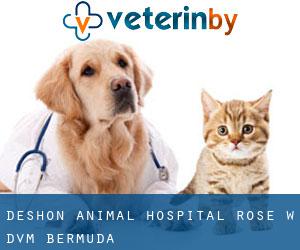 Deshon Animal Hospital: Rose W DVM (Bermuda)