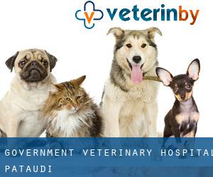 Government Veterinary Hospital (Pataudi)