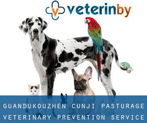 Guandukouzhen Cunji Pasturage Veterinary Prevention Service Room (Xinling)