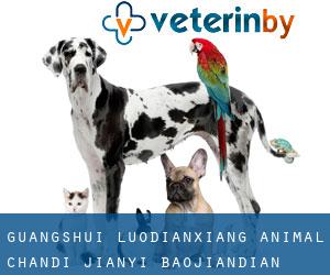 Guangshui Luodianxiang Animal Chandi Jianyi Baojiandian