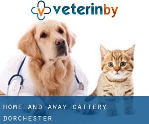 Home and Away Cattery Dorchester