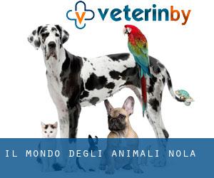 Il mondo degli animali (Nola)