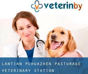 Lantian Puhuazhen Pasturage Veterinary Station