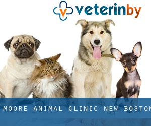 Moore Animal Clinic (New Boston)