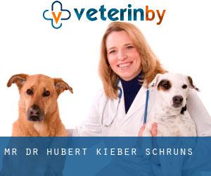 Mr. Dr. Hubert Kieber (Schruns)
