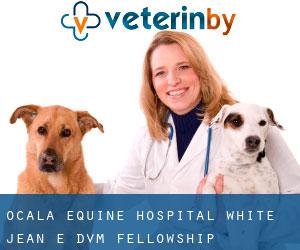Ocala Equine Hospital: White Jean E DVM (Fellowship)