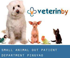 Small Animal Out-patient Department (Pingyao)