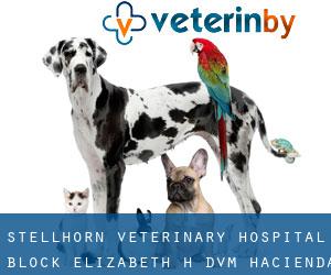 Stellhorn Veterinary Hospital: Block Elizabeth H DVM (Hacienda Village)