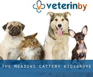 The Meadows Cattery (Kidsgrove)
