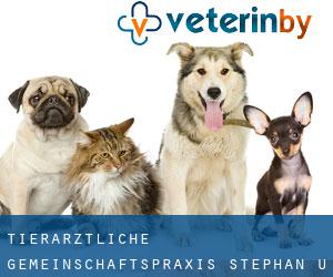 Tierärztliche Gemeinschaftspraxis Stephan u. Mirja Horster (Wrixum)