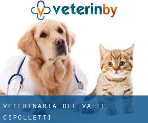 Veterinaria del Valle (Cipolletti)