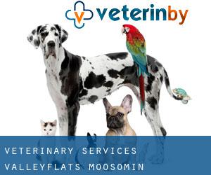 Veterinary Services Valleyflats (Moosomin)