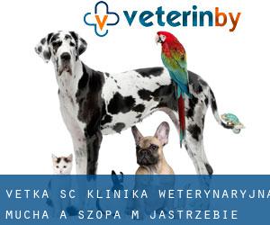 Vetka s.c. Klinika weterynaryjna. Mucha A., Szopa M. (Jastrzebie-Zdrój)