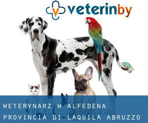 weterynarz w Alfedena (Provincia di L'Aquila, Abruzzo)