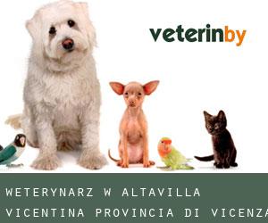 weterynarz w Altavilla Vicentina (Provincia di Vicenza, Veneto)