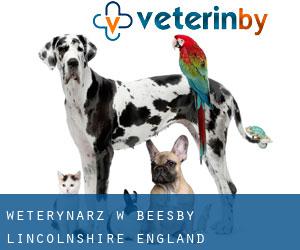 weterynarz w Beesby (Lincolnshire, England)