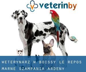 weterynarz w Boissy-le-Repos (Marne, Szampania-Ardeny)