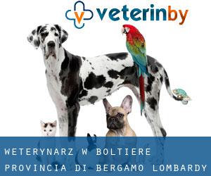 weterynarz w Boltiere (Provincia di Bergamo, Lombardy)