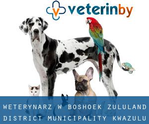 weterynarz w Boshoek (Zululand District Municipality, KwaZulu-Natal)