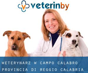 weterynarz w Campo Calabro (Provincia di Reggio Calabria, Kalabria)