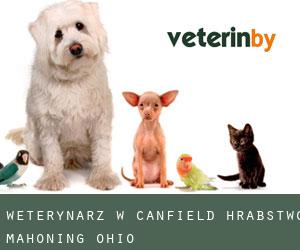 weterynarz w Canfield (Hrabstwo Mahoning, Ohio)