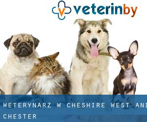 weterynarz w Cheshire West and Chester