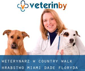 weterynarz w Country Walk (Hrabstwo Miami-Dade, Floryda)
