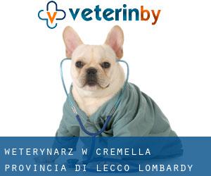 weterynarz w Cremella (Provincia di Lecco, Lombardy)