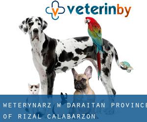 weterynarz w Daraitan (Province of Rizal, Calabarzon)
