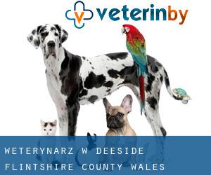 weterynarz w Deeside (Flintshire County, Wales)