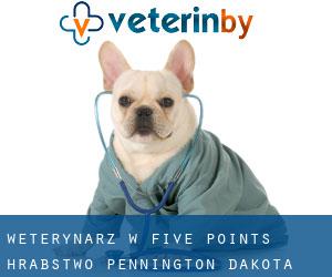 weterynarz w Five Points (Hrabstwo Pennington, Dakota Południowa)