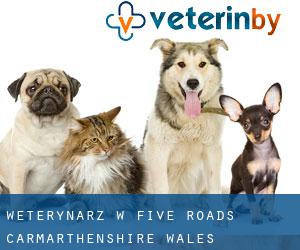 weterynarz w Five Roads (Carmarthenshire, Wales)