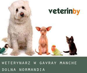 weterynarz w Gavray (Manche, Dolna Normandia)