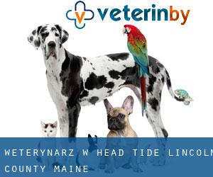 weterynarz w Head Tide (Lincoln County, Maine)