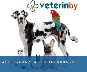weterynarz w Jogindarnagar weterynarz w Jogindarnagar