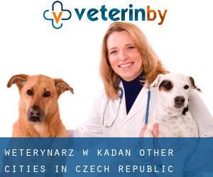 weterynarz w Kadaň (Other Cities in Czech Republic)