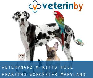 weterynarz w Kitts Hill (Hrabstwo Worcester, Maryland)