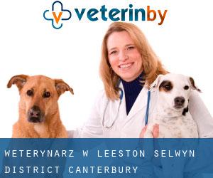 weterynarz w Leeston (Selwyn District, Canterbury)