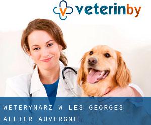 weterynarz w Les Georges (Allier, Auvergne) weterynarz w Les Georges (Allier, Auvergne)