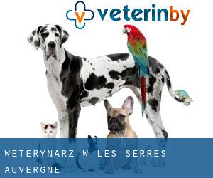 weterynarz w Les Serres (Auvergne) weterynarz w Les Serres (Auvergne)