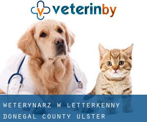 weterynarz w Letterkenny (Donegal County, Ulster)